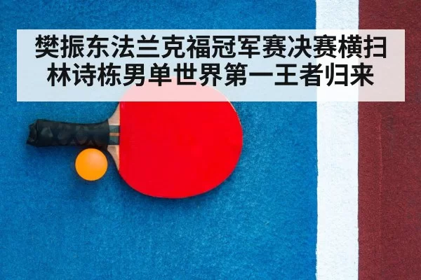 table tennis racket